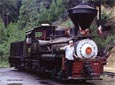 I love trains. This one is in Yosemite National Park.